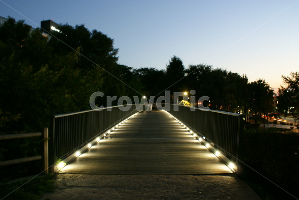 다리,bridge,풍경,야경,조명,야경,밤,풍경,nightscape,night,landscape,건축물,건물외관,exterior,building,structure,architecture,construction,handrail,난간,banister,boardwalk,산책로,건물