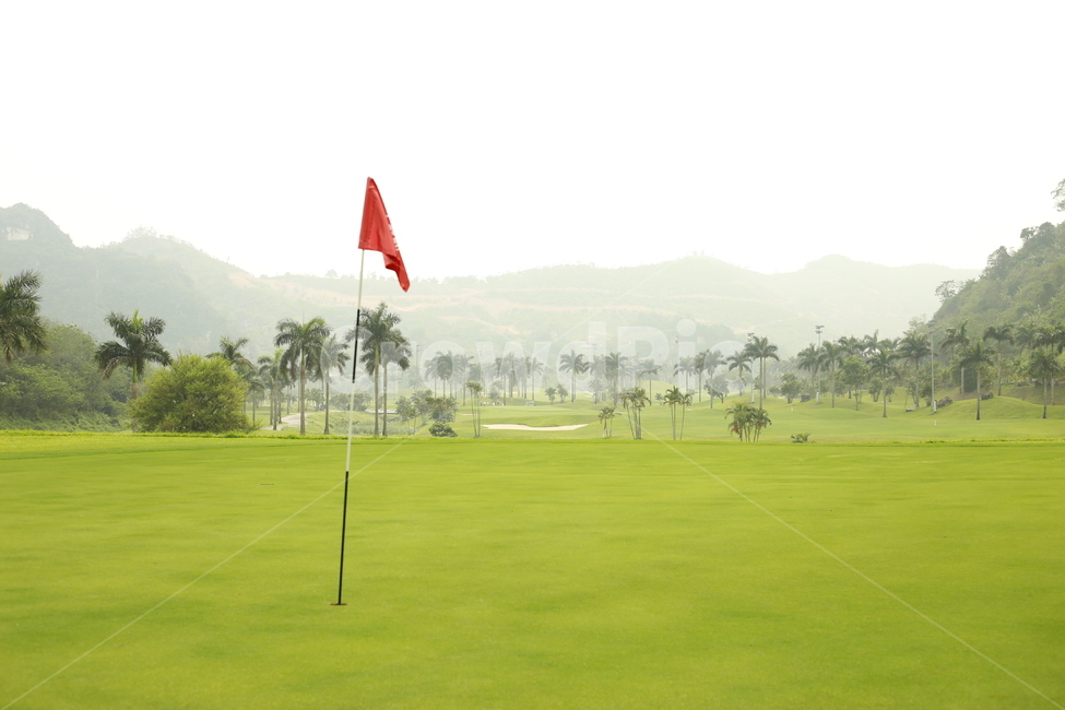 field,outdoors,들,그린,깃발,골프,골프코스,golf,golfcourse
