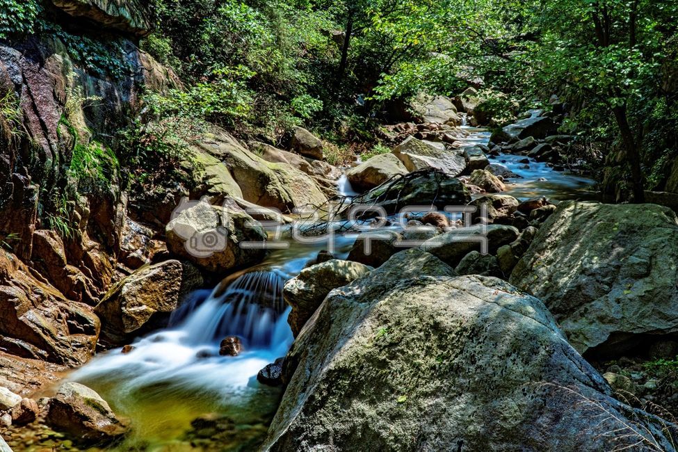 회룡골,북한산국립공원,사패산,경기도,경기북부,의정부,회룡역,골짜기,계곡,valley,자연,한국자연,nature,경치,자연경치,scenery,scene,view,자연풍경,풍경,landscape,협곡,산,mountain,나무,tree,숲,forest,wood,물,water,여름,summer,아웃도어,outdoors,옥외,river,한국자연풍경,한국경치,korea,바위,rock,boulder,나뭇가지,등산,산골짜기