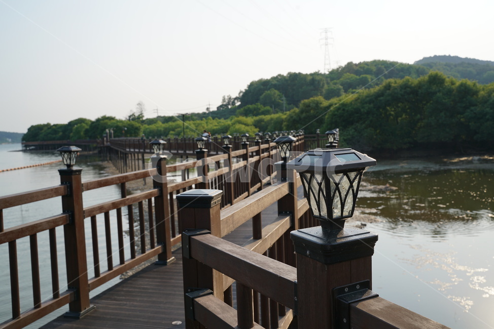 수변로,산책길,호수공원,호수길,호수로,탑정저수지,논산저수지