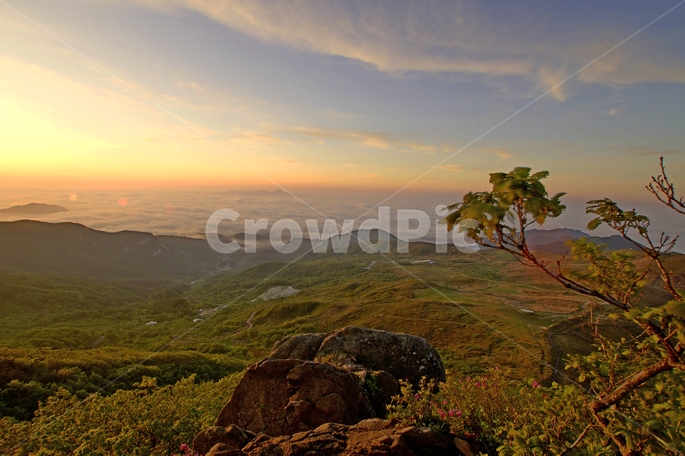 황매산,합천군,철쭉,풍경,산,자연,풍경,nature,landscape,outdoors,옥외,plateau,고원