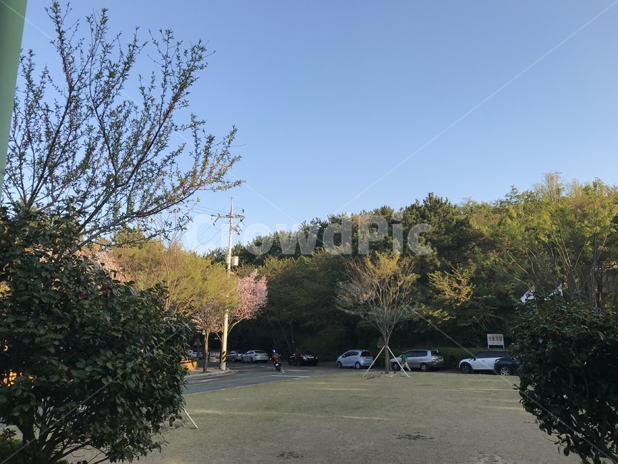공원,숲,파란하늘,하늘,나무,푸른하늘,푸른,산,상쾌,공기,산소