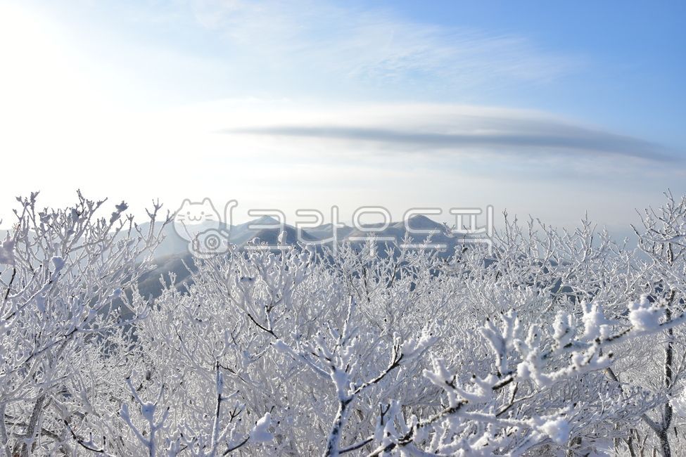 겨울,상고대,서리꽃,자연,설경,풍경,눈꽃,눈,눈보라,바람,겨울왕국,파란하늘,산,나뭇가지,겨울나무,민주지산,겨울산,배경,계절,winter,season,nature,landscape,겨울,계절,winter,season