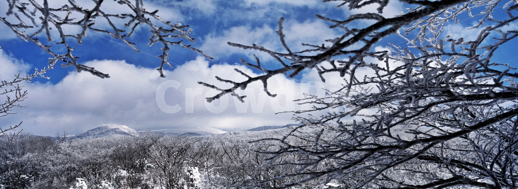 제주,겨울,설경,한라산,푸른하늘,파노라마,필름,겨울,계절,winter,season,자연,풍경,nature,landscape,outdoors,옥외,weather,날씨