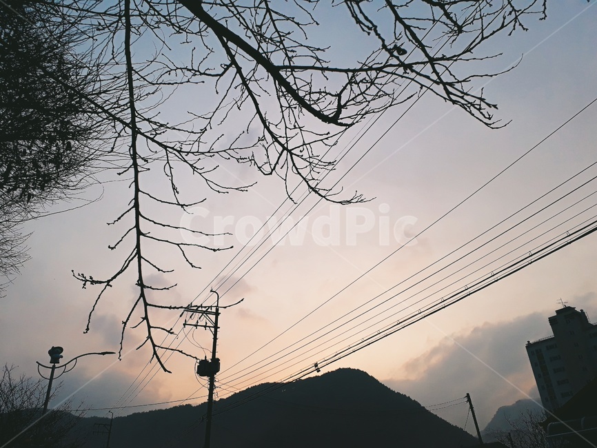 나무,하늘,산,새벽,구름,자연,풍경,nature,landscape