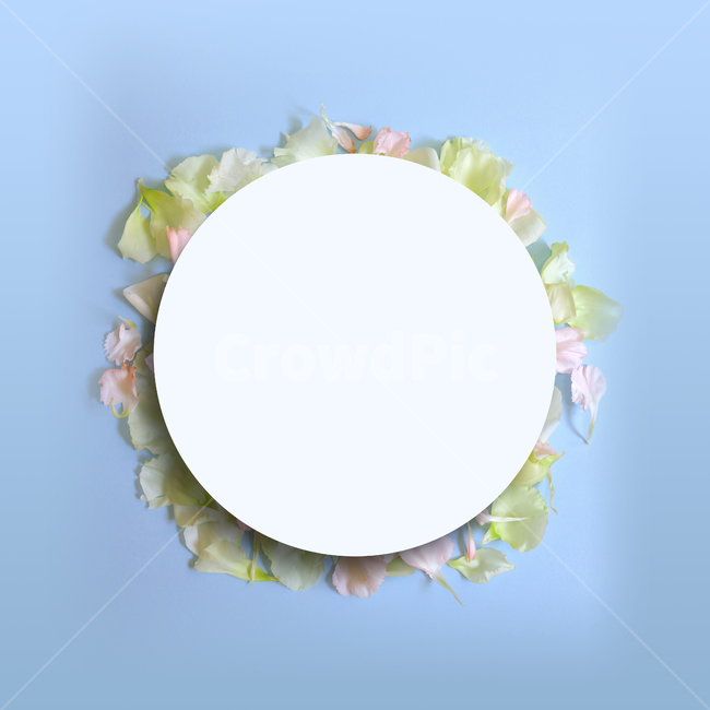 백그라운드,식물,자연,계절,봄,꽃,배경,배경이미지,내추럴,flower,nature,flora,background,꽃잎,프레임