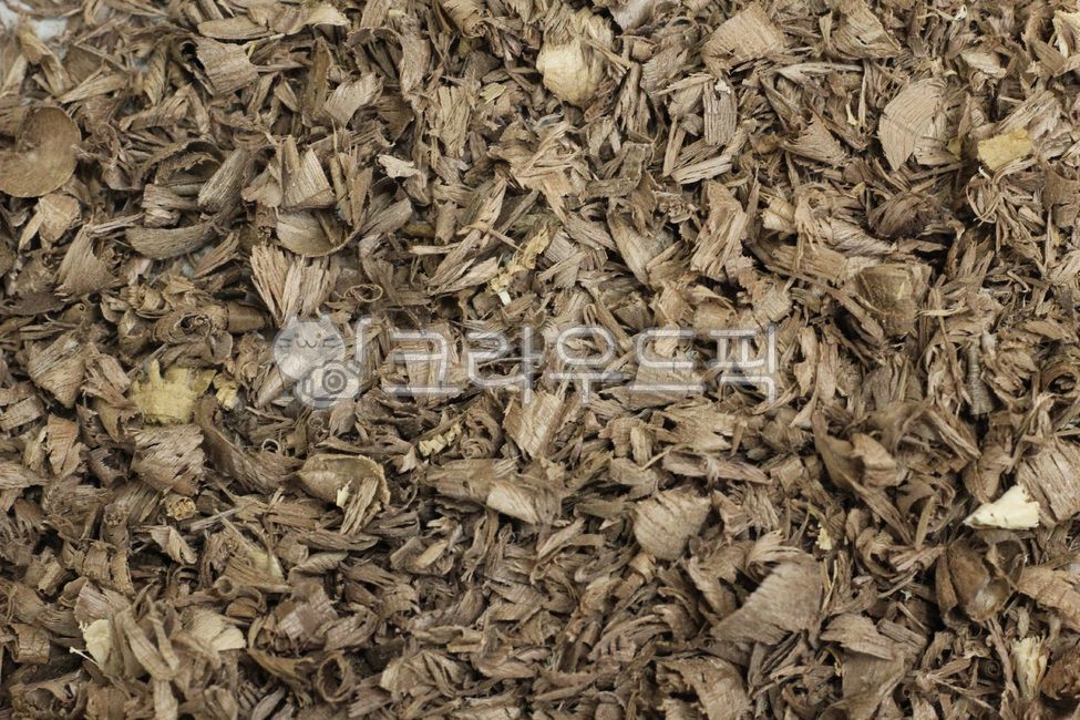 chip,tree,debris,wood,wood carving