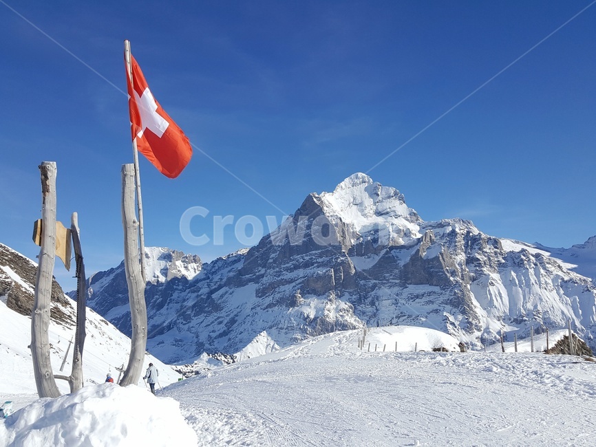 스위스,산,피르스트,피르스트산,switzerland,first,겨울,계절,winter,season,해외,외국,세계,foreign,oversea,world,세계자연풍경,해외자연풍경,외국자연풍경,world nature landscape,flag,깃발,symbol,상징,outdoors,옥외,mountain,mountain range,산맥,nature,자연