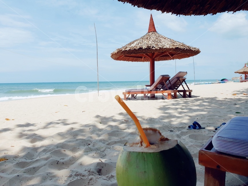 베트남,무이네,휴양지,코코넛,과일,바다,해변,바다,beach,sea