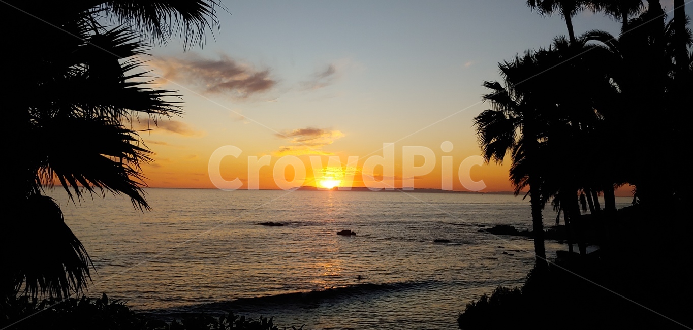 lagunabeach,california,바닷가,파도,야자수,일몰,sunset,redsky