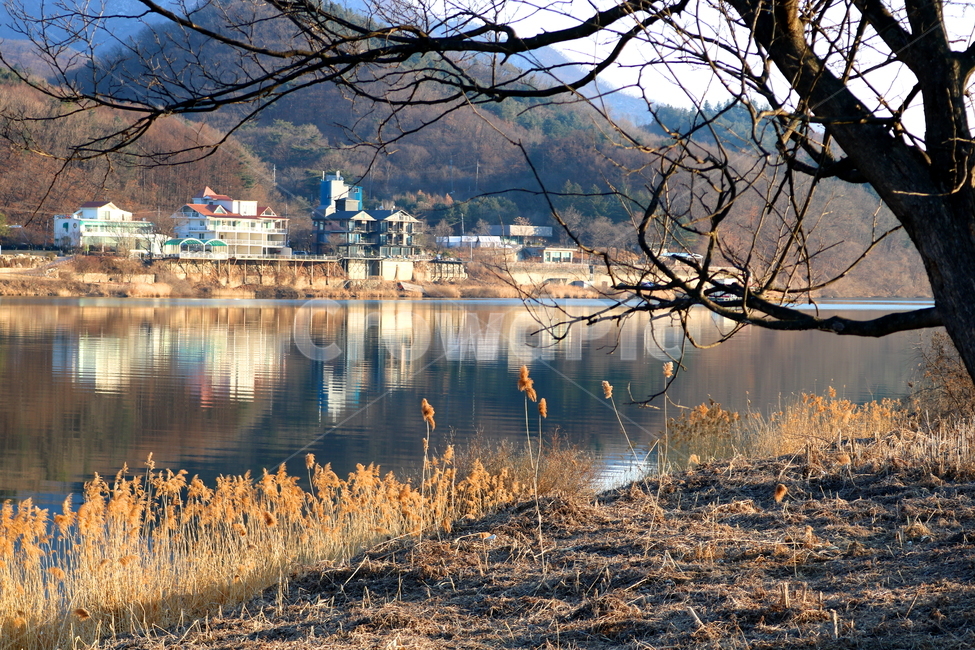 자연,풍경,겨울,나무,강,북한강,강물,물,산,가평,경기도,갈대,건물,집,시골,마을,풍경,landscape,country,rural,town
