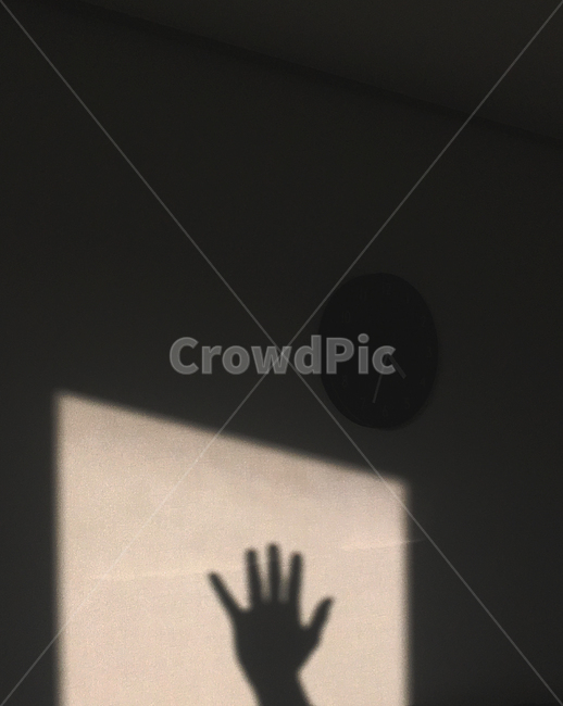 그림자,실루엣,빛,햇빛,손,안녕,인사,감성,감성사진,shadow,silhouette,light,hello,feeling,hand