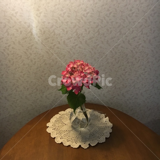 수국,꽃,flower,테이블,table