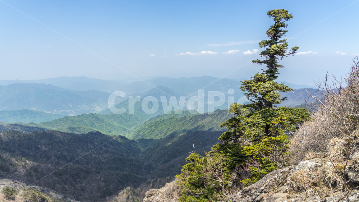 산,지리산,봄,철죽,등산,자연,한국자연경관,한국자연풍경,spring,landscape,koreanaturelandscape
