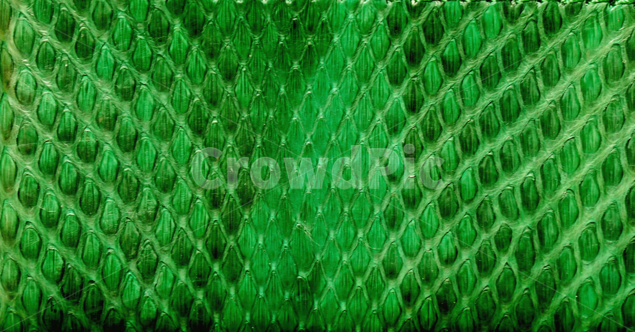 뱀무늬,뱀,pattern,greensnake,snake,animal,동물,파충류,양서류,자연,질감,texture,그래픽,graphic,nature,무늬,텍스처,질감,패턴,texture,pattern