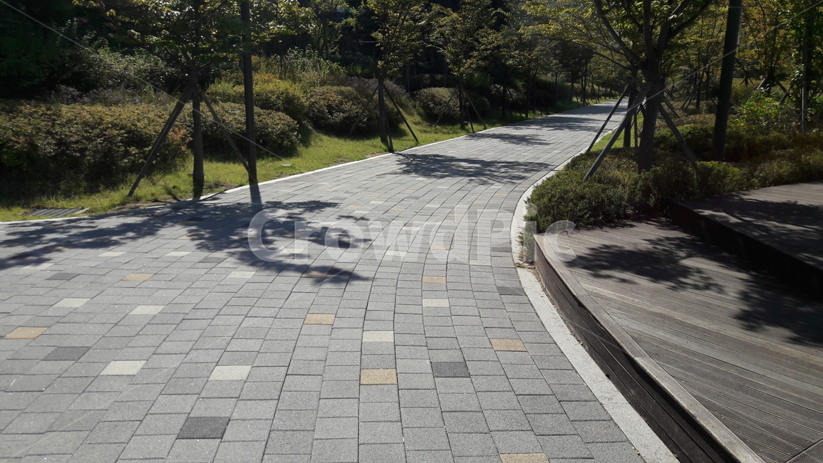 길,공원,돌,나무,도시,자연,풍경,nature,landscape,flagstone,판석,path,통로,walkway,보도