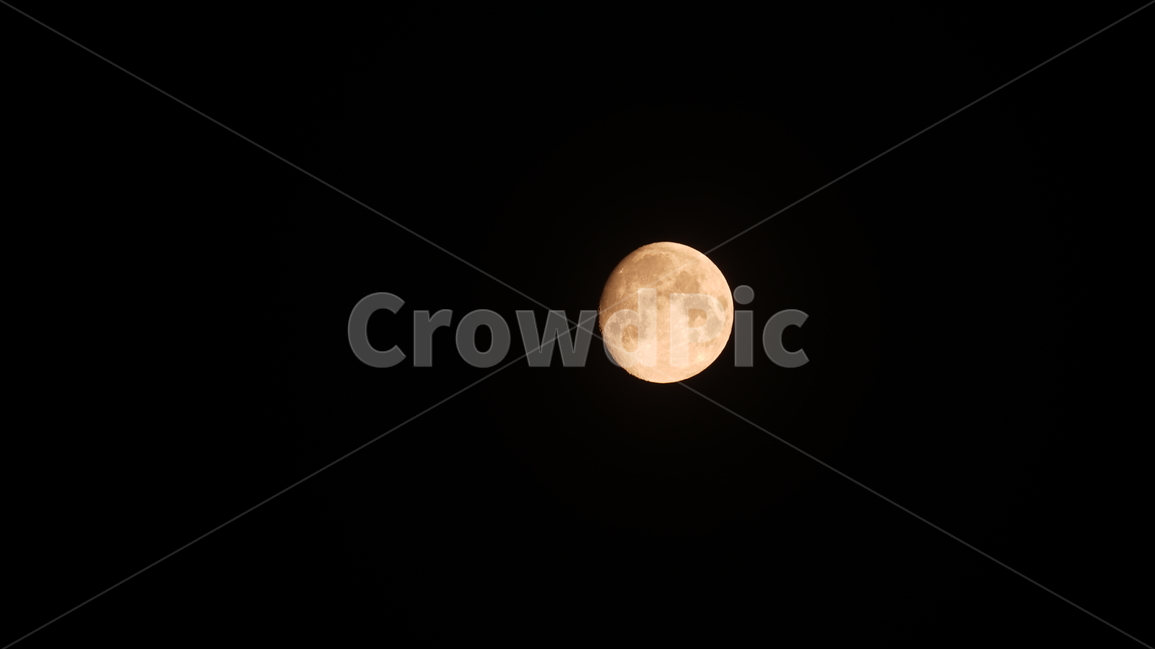 달,moon,행성,planet,half,야경,밤,풍경,nightscape,night,landscape,nature,자연,outdoors,옥외,astronomy,천문학,universe,우주,outer space,대기권 밖