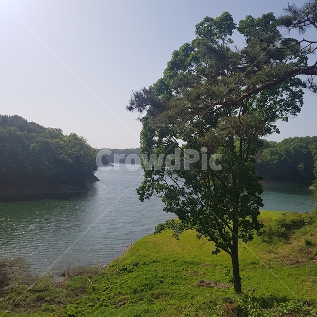 water,물,자연,nature,summer