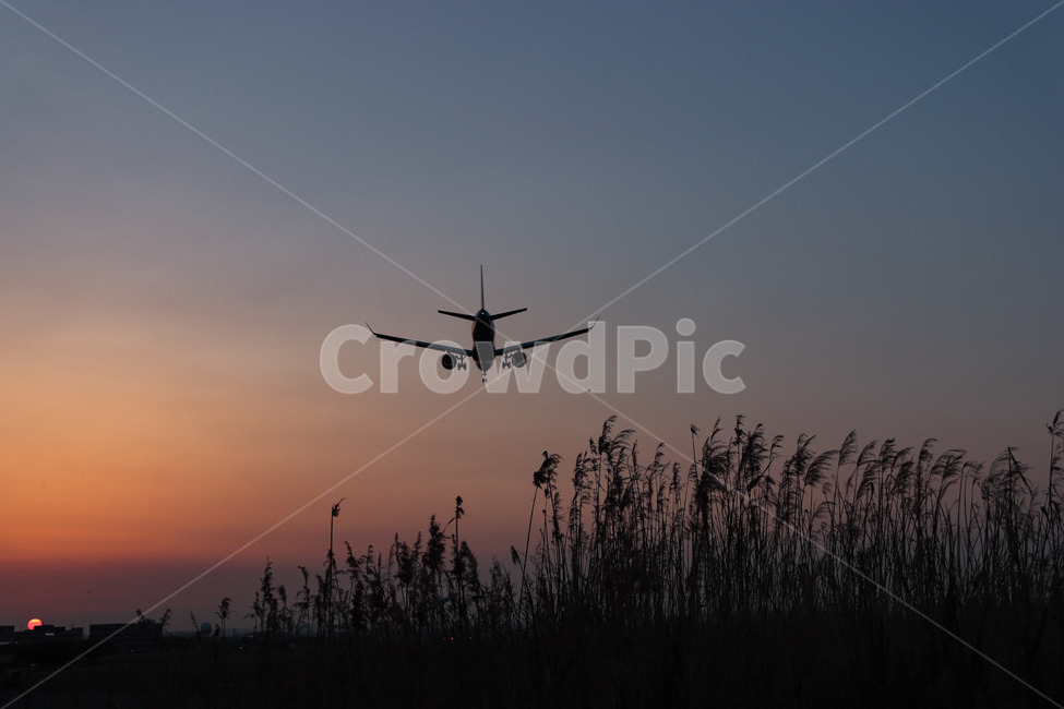 airplain,sunset,노을,비행기,갈대