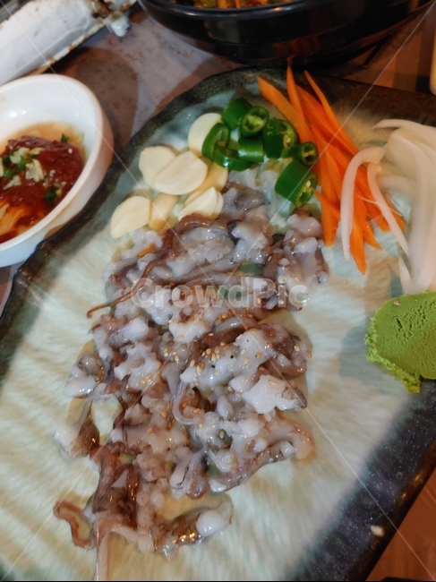 음식,점심,저녁,외식,회식,약속,해산물멍개,개불,우럭,산낙지,소주,안주,포장마차,맛집,물고기,음식,식재료,요리,food,cook,meal,dishes,food reserves