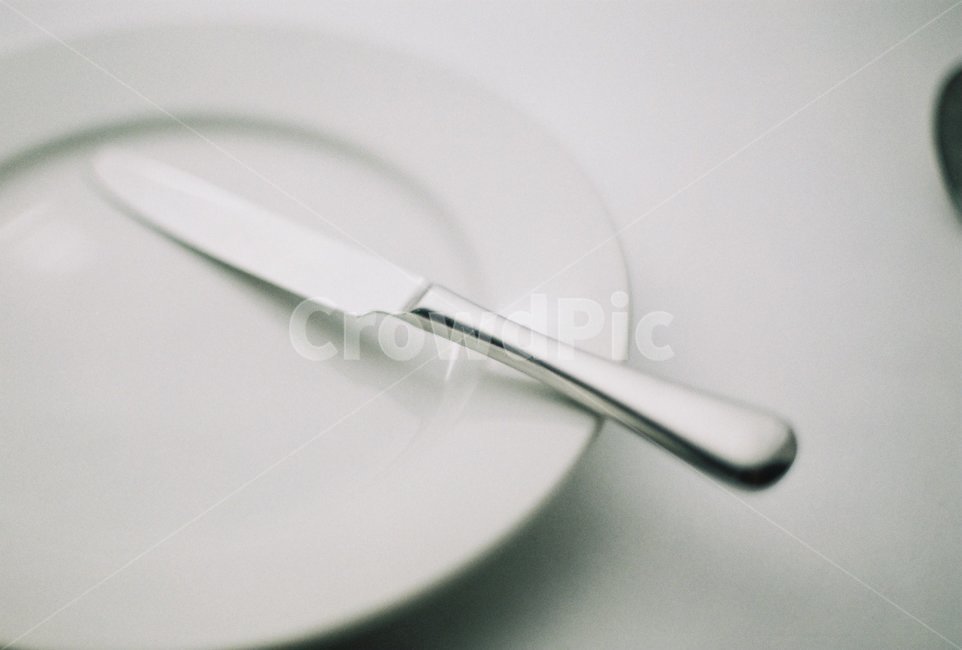 접시,칼,양식,그릇,돈까스칼,사물,물건,오브젝트,thing,object,matter