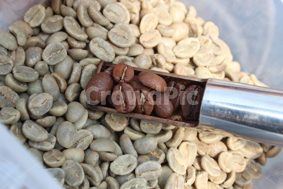 로스팅,커피로스팅,커피,원두,생두,coffee,roasting,coffeeroasting,coffeebean,greenbean,커피,카페,coffee,cafe
