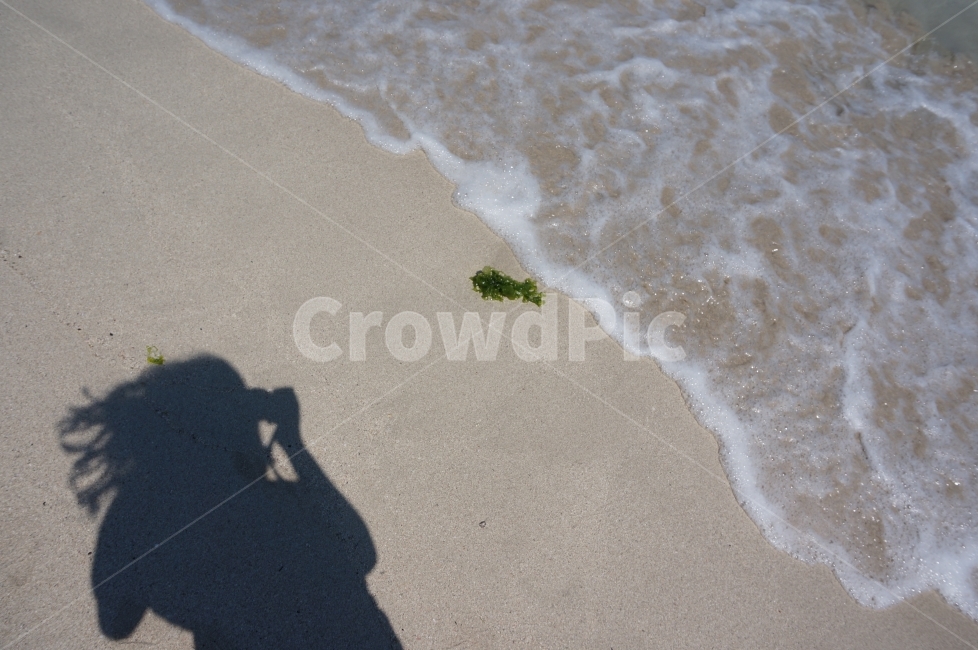 그림자,파도,바다,낮,백사장,제주도,해변,바다,beach,sea,사람,인물,인간,human,person,인물실루엣,사람실루엣,character silhouette,human silhouette,outdoors,옥외,sand,모래,nature,자연