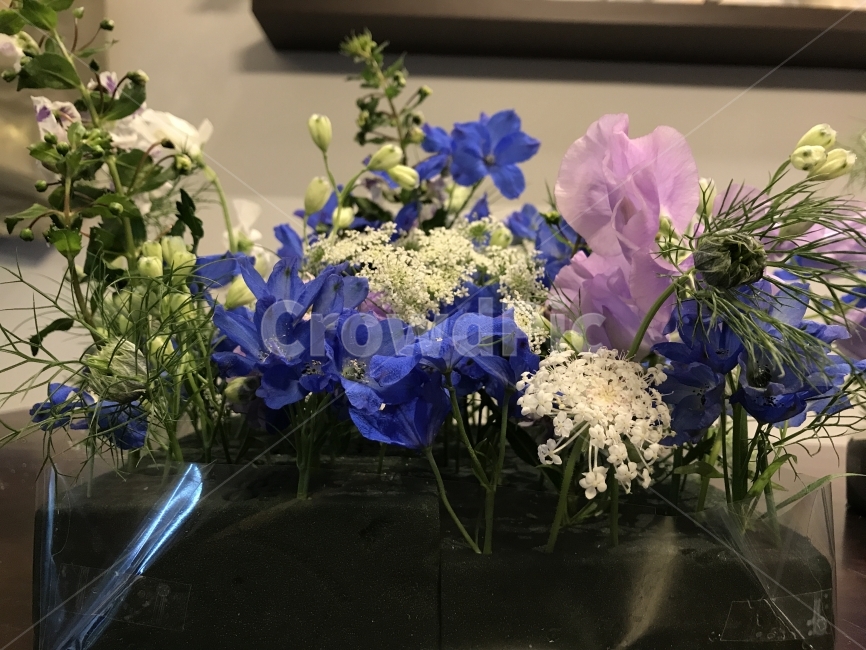 꽃꽂이,꽃바구니,꽃꽂이수업,더많은레슨,원데이클래스,꽃,flower,인테리어,실내디자인,interior design