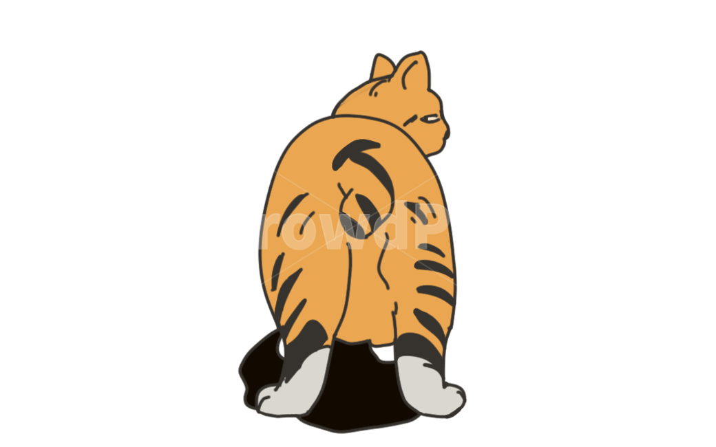 Stray cat cat illustration,catart,cute picture,yellow cat,cat drawing,cat,illustration,fat cat,cat back view,tabby,cat illustration