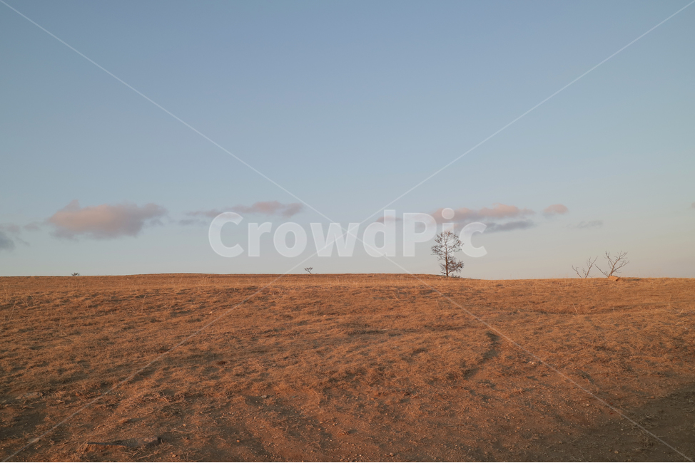 러시아,이르쿠츠크,알혼섬,irkutsk,바이칼호수,자연,들,nature,ground,하늘,sky