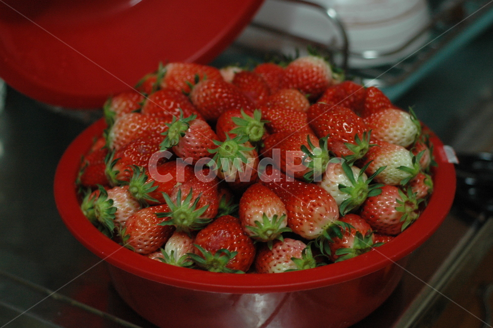 딸기,과일,봄과일,딸기대야,대야,strawberry,봄,빨강,red,상큼함,음식,식재료,요리,food,cook,meal,dishes,food reserves,과일,열매,fruit,채소,야채,vegetables