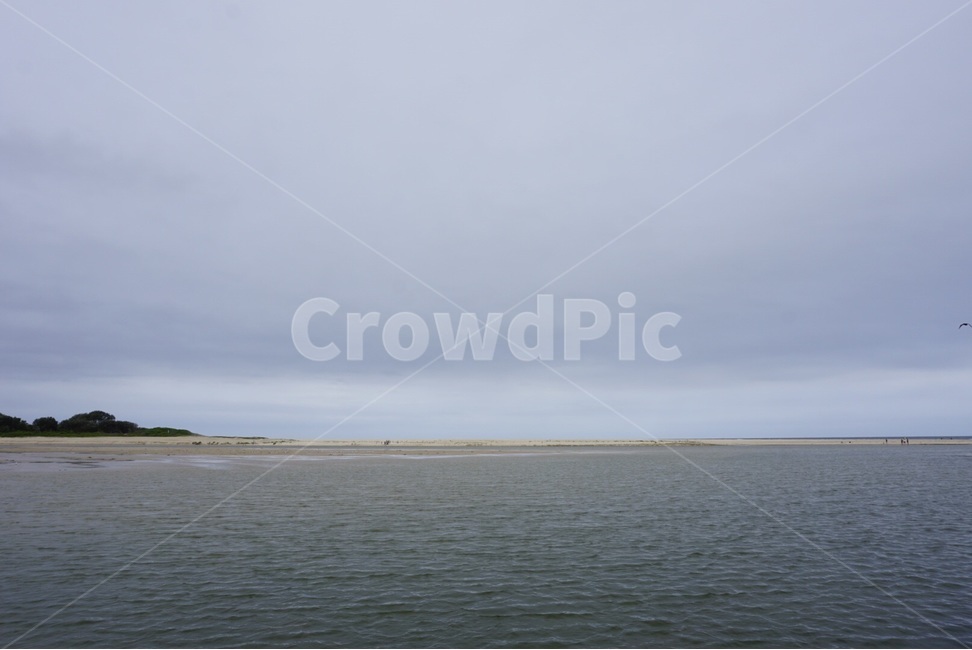 시드니,Sydney,자연,nature,풍경,scenery,바다,sea,호주,austrealia,자연,풍경,nature,landscape,outdoors,옥외,water,물