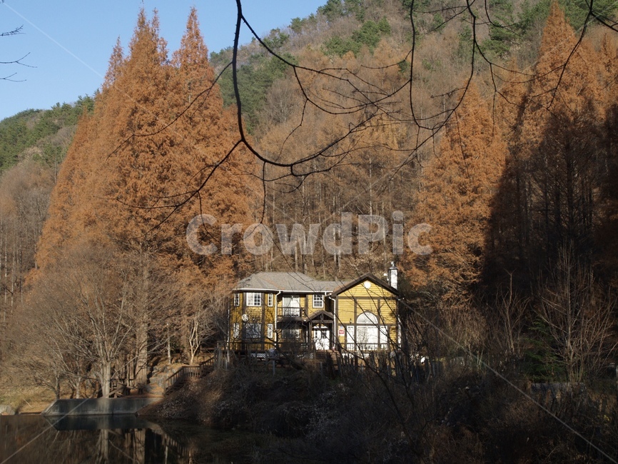건출물,집,자연환경,숲,별장