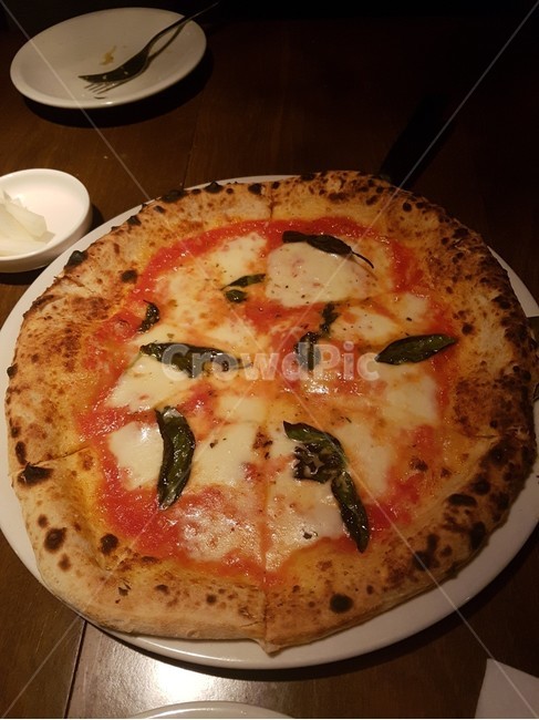 치즈,피자,음식,토마토소스,food,pizza