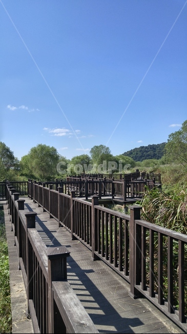 풍경,가을,다리,산책,하늘,자연,풍경,nature,landscape,railing,난간,handrail,banister