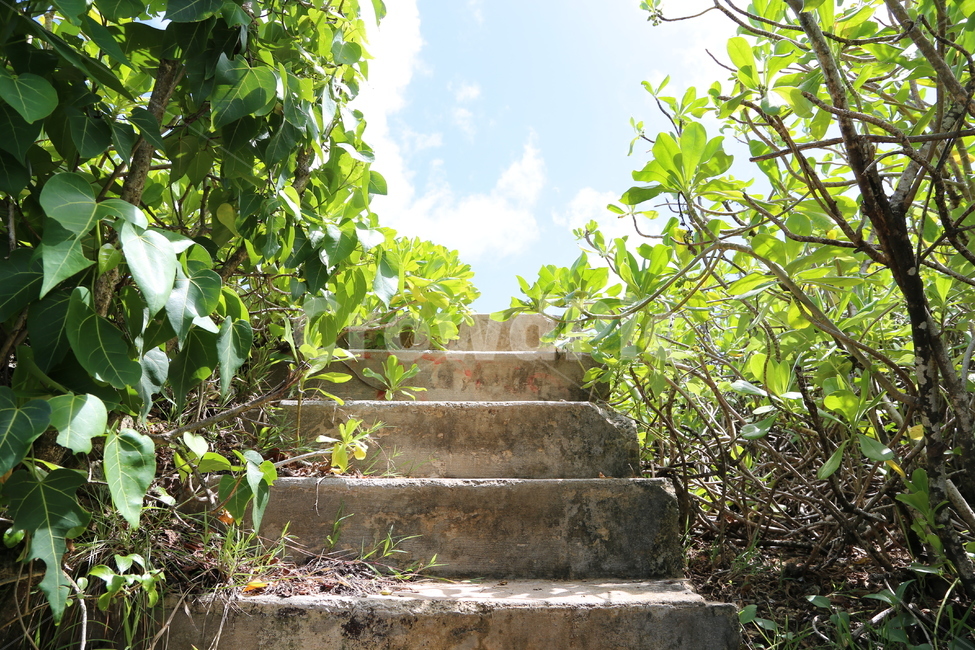 outdoors,옥외,arbour,정자,정원,garden,계단,나뭇잎,자연,풍경,통로,nature,walkway,보도,path,자연,풍경,nature,landscape