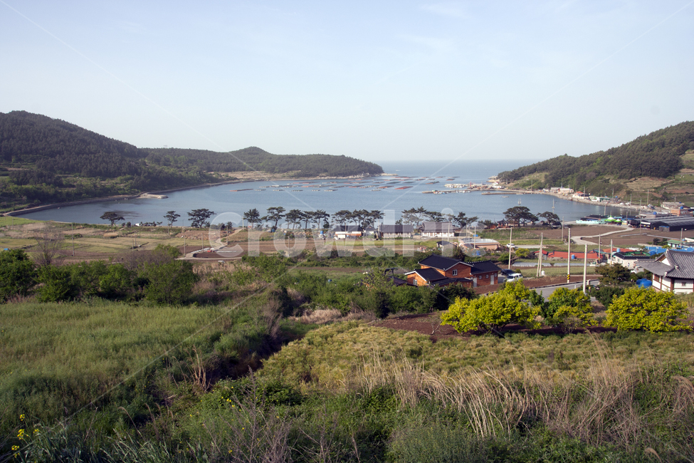 Cheongsando Slow City,Cheongsando,Slow Walking Festival,Wando,Slow City,Cheongsando green barley