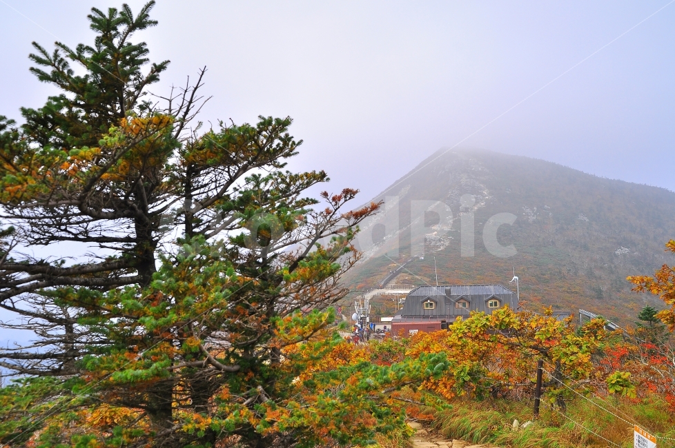대청봉,중청산장,가을,설악산,국립공원,단풍,시즌,계절,단풍잎,leaf,season,maple,시안,디자인,디자이너,출판,편집,책자,서적,사보,카다로그,콘텐츠,리플렛,브로셔,모바일,팝업,전단,광고,색감,칼라풀,아름다운,뷰티풀,beautiful,sns,ebook,웹,마케팅,마켓팅,느낌,서정,나뭇,봉우리,능선,찬란한,화려한,mountain,autumn,fall,red,colorful,emotion,feeling,10월,그림같은,힐링,알록달록,울긋불긋,자연,식물,숲,산,명소,절경,산행,등산,관광,절정,빨강,노랑,초록,가을산,안개,운해,풍경,가을,계절,fall,autumn,season,자연,풍경,nature,landscape,한국자연풍경,한국자연경관,korea nature landscape,outdoors,옥외,tree,나무,plant
