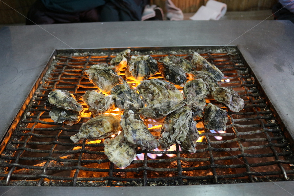 굴,굴구이,석화,음식,굴요리,굴단지,굴껍데기,직화,food,식재료,겨울,계절,겨울음식,수산물,해산물,신선,통영,보령,굴회,보령굴,통영굴,dishes,meal,fishery,조개,products,seafood