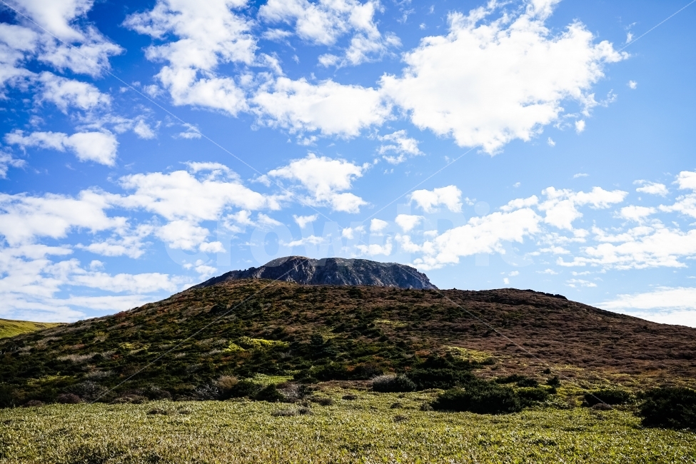 제주도,한라산,단풍,가을,풍경,자연,풍경,nature,landscape,한국자연풍경,한국자연경관,korea nature landscape,제주도,jeju,jeju island,outdoors,옥외,hill,언덕