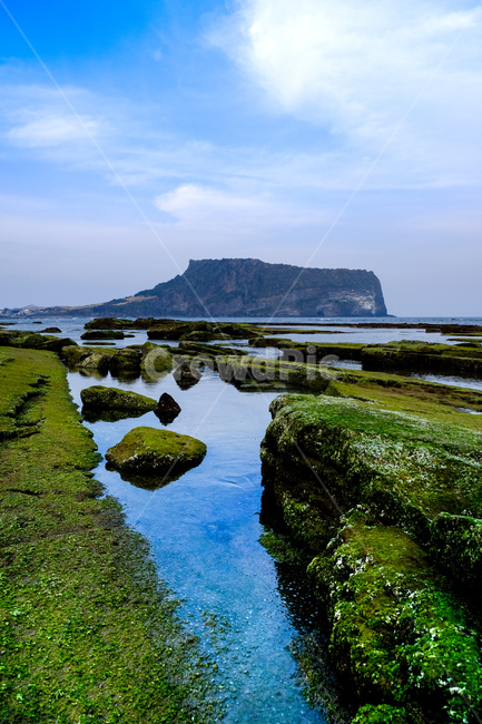 바다,곶,해안선,ocean,seashore,자연,풍경,nature,landscape