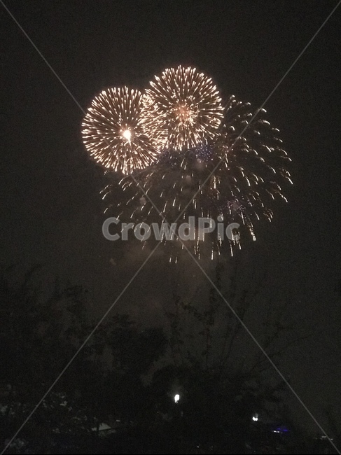 한강,축제,폭죽,파티,놀이,야경,밤,풍경,nightscape,night,landscape,축제,행사,festival,carnival,event,nature,자연,outdoors,옥외
