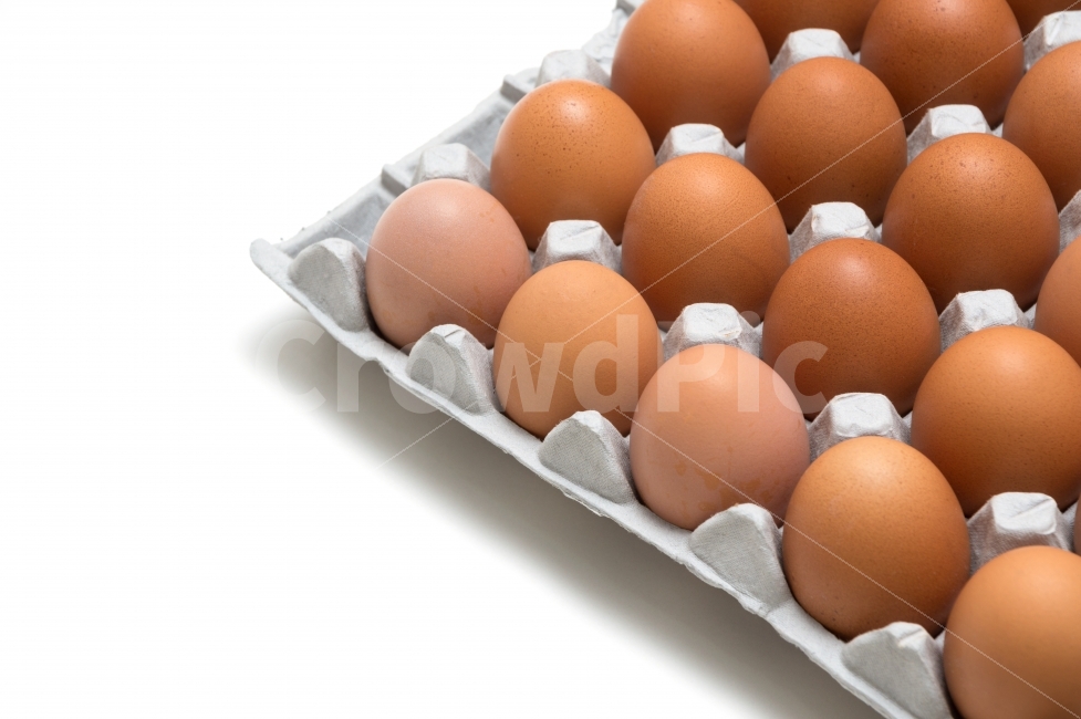 달걀,계란,음식재료,식재료,다이어트,누끼,요리재료,바탕,배경,이미지,배경이미지,단백질,컨셉,컨셉트,콘셉,콘셉트,음식,음식물,요리,식량,식료품,신선한,프레쉬,후레쉬,식자재,생명,프로틴,하얀,흰,흰색,화이트,농업,영양,유기농,항생제,껍데기,생활,식생활,헬스,식단,신선,영양분,음식,식재료,요리,food,cook,meal,dishes,food reserves,누끼,remove background