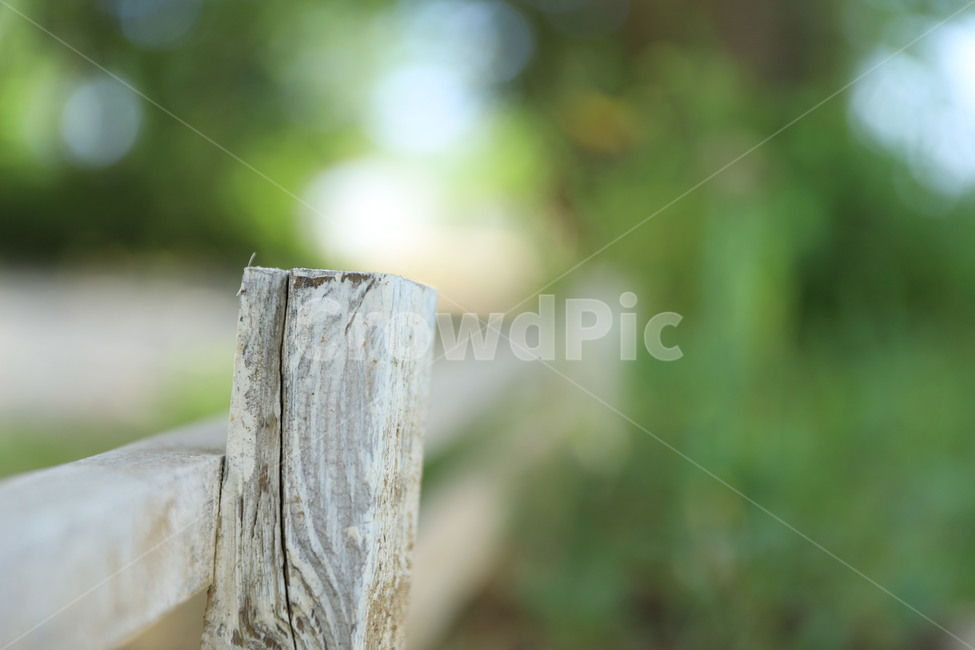 울타리,담벼락,나무벽,입구,tree,wall,나무,trees,wood,감성,sensible,feeling