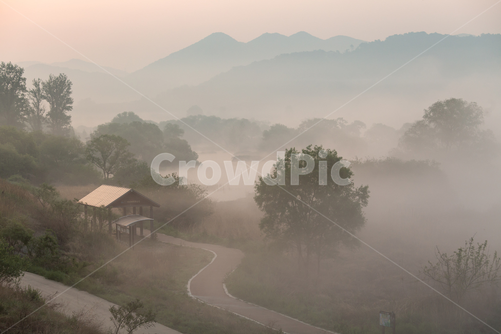 풍경,화포천,안개,일출,새벽,아침,나무,김해,몽환,길,nature,landscape,smog,fog,풍경배경,배경,일출배경,자연,풍경,nature,landscape