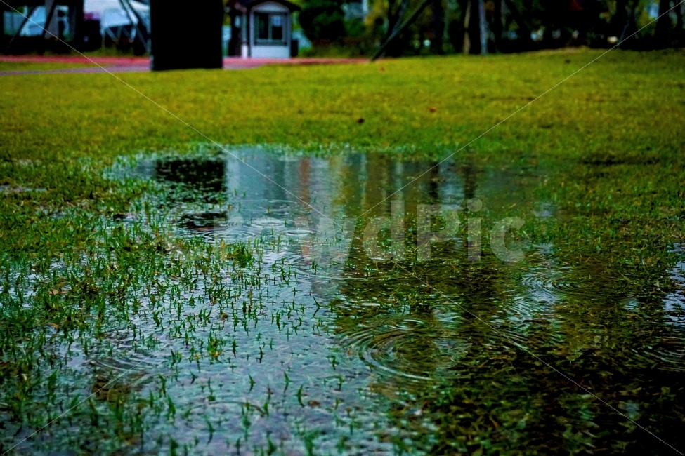 부산,부산시민공원,비감성,물,비,감성,sensible,feeling,비,비오는날,rain,rainy