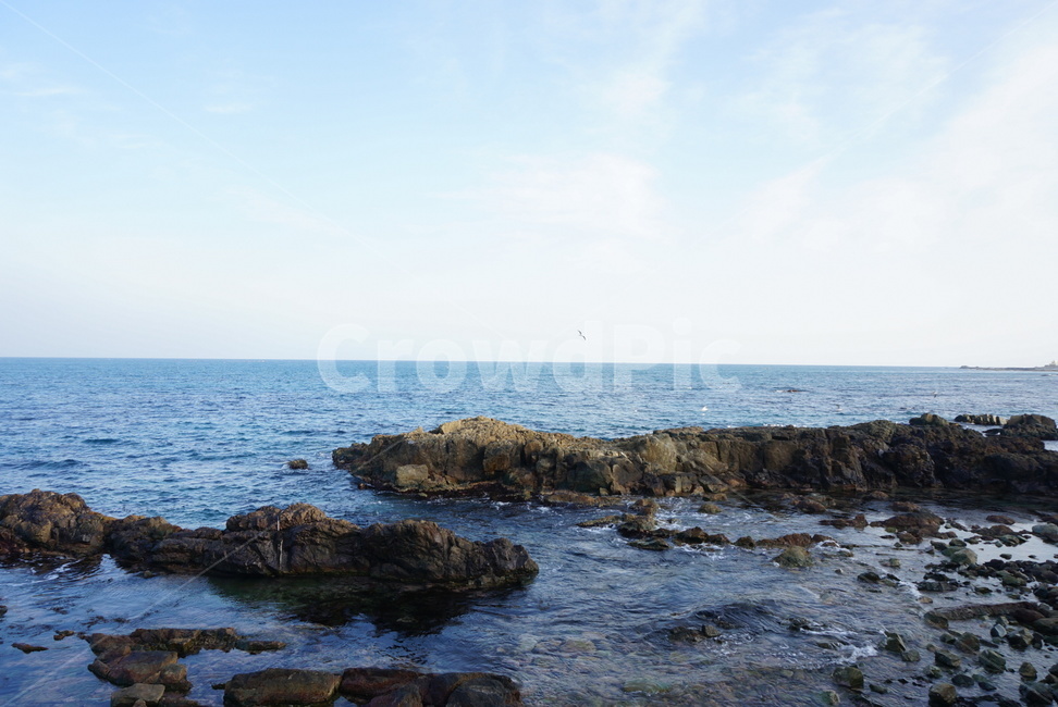 포항,바다,바위,파란,새,갈매기,하늘,자연,풍경,nature,landscape,promontory,곶,outdoors,옥외