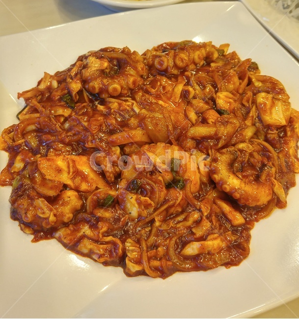 낙지,낙지볶음,볶음요리,해산물,음식,음식,식재료,요리,food,cook,meal,dishes,food reserves,수산물,해산물,fishery products,seafood,한식,한국음식,한국요리,korean food,korean dishes,korean meal,korean cook