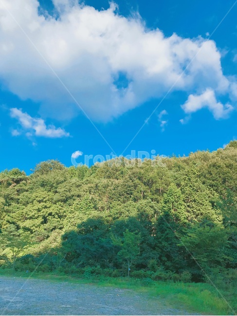 하늘,산,풍경,나무,감성,배경