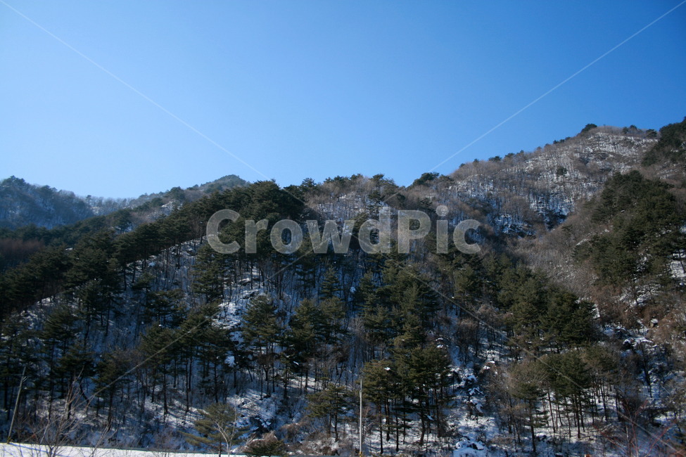 겨울,눈,하늘,나무,풍경,산,겨울,계절,winter,season,자연,풍경,nature,landscape,plant,식물,tree,fir,전나무,outdoors,옥외